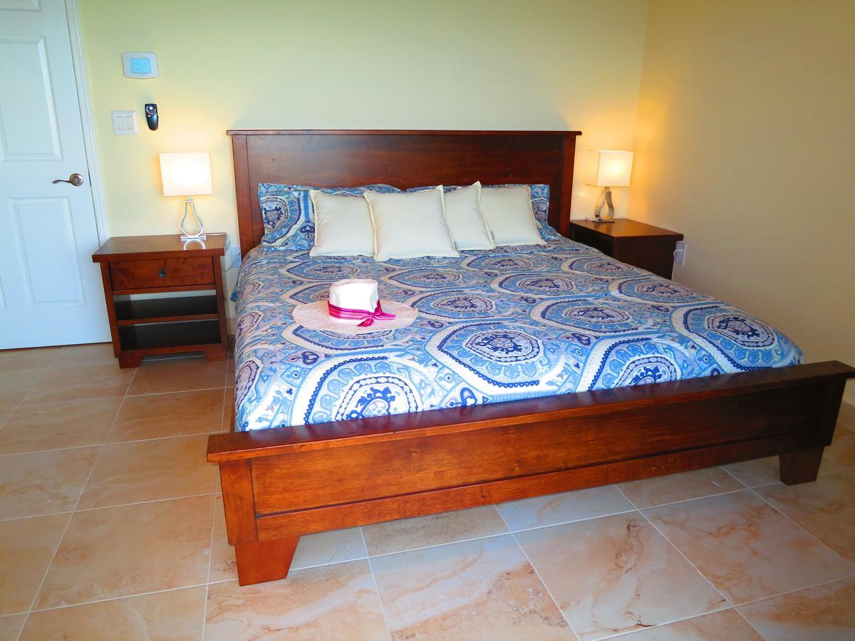 2Br Luxury Beachfront Duplex Villa On Sapphire Beach III East End  Exterior photo